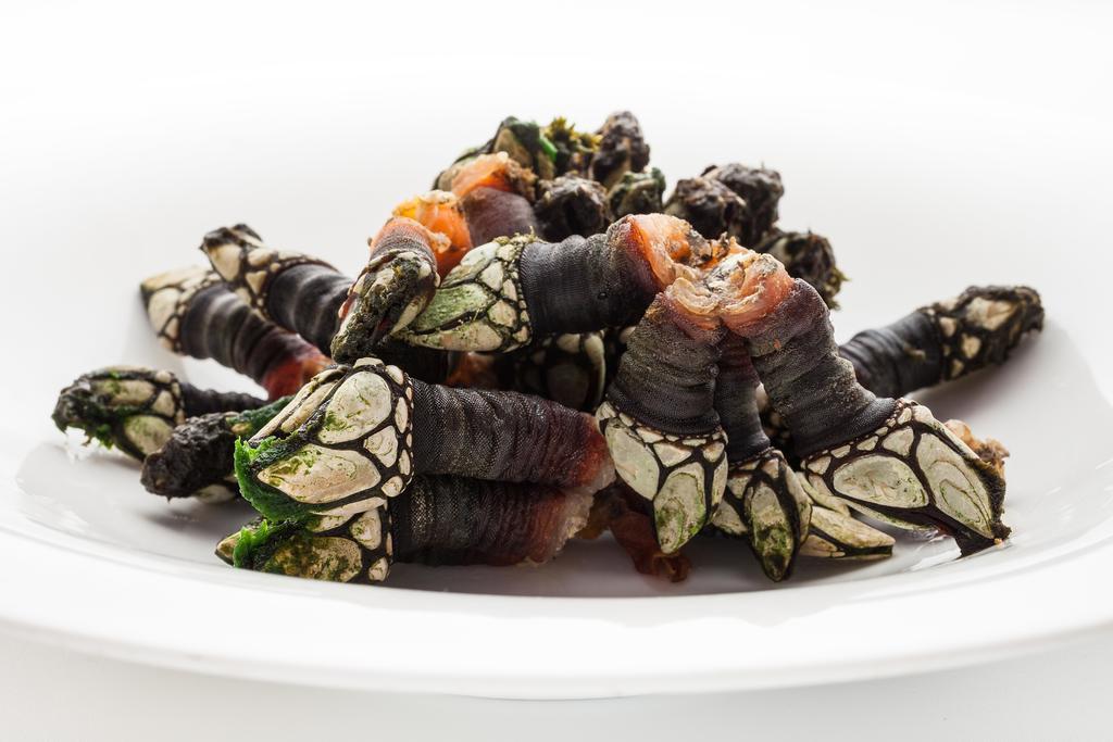 Hotel Restaurante Cabo Vidio Oviñana Zewnętrze zdjęcie